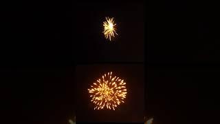 IM1115 5" Neon Willow Super Shells with good quality from TOPGUN Fireworks Mass Production