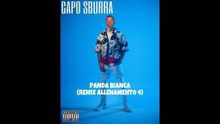 CAPO SBURRA - PANDA BIANCA (Parodia Allenamento 4)