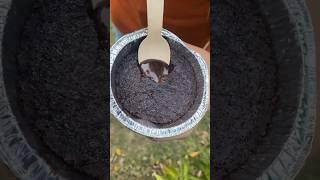 Choco Lava fountain……#chocolove #foodie #vlogging #viralvideo #trendingshorts