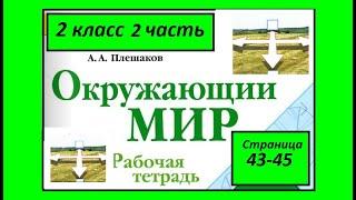 Окружающий мир  рабочая тетрадь 2 класс страница 43-45. Посмотри вокруг