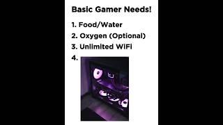 Basic Gamer Needs 