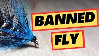 This Fly Was BANNED !!