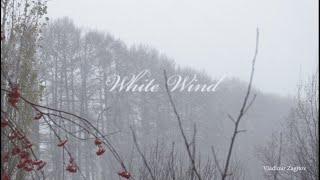 White Wind - Turkic saz baglama