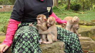 Watching Reaction do love mom KT of Abandoned Binky and Winky when she arrival Park in wild