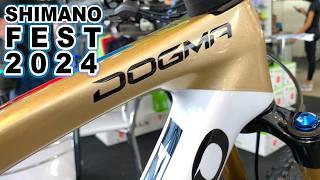  SHIMANO FEST 2024 ⭐Bikes INSANAS! [4k] #shimanofest #topbikes #pinarello #mtb #ciclismo #bicycle