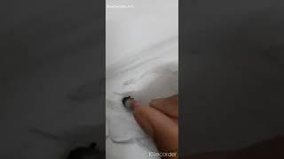 Pencil sketch drawing |Soumyadeep Arts.