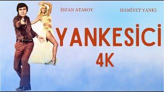 Yankesici Türk Filmi | 4K ULTRA HD | İrfan Atasoy | Hamiyet Yankı