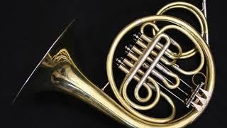Vienna Horns - Fanfare For The Common Man