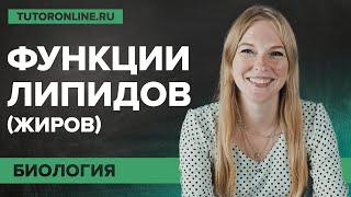 Самые важные функции липидов (жиров) | Биология | TutorOnline