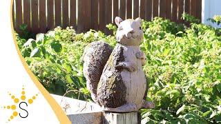 Sunnydaze Silas the Woodland Squirrel Statue - Indoor/Outdoor Figurine - 13.5-Inch-ART-219