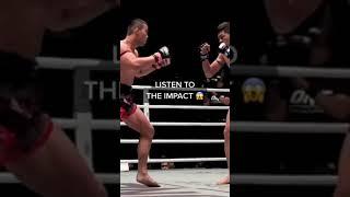The art of Muay Thai 