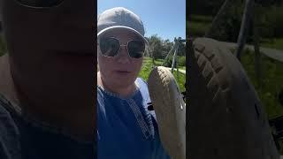 Самый важный огородный совет #1 #1million
