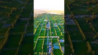 China's Great Green Wall Stopping the Gobi Desert 