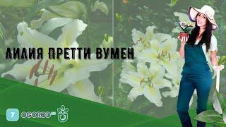 Лилия Претти Вумен