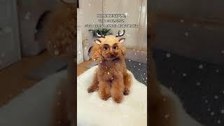 Соц.сети - фейк #Shorts