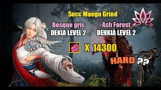 BDO | Bosque Gris dekia / Ash Forest Dehkia Lantern Level 2 14300+ Trash Yellow | Succ Maegu