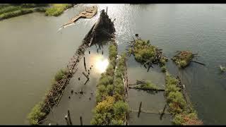 Sunken Ships in Curtis Bay Maryland (Curtis Creek Ship Graveyard)