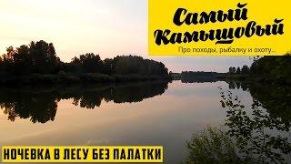 Ночевка в Лесу. Ночевка без Палатки. Ловля Карася . Ловля карася на Английскую Донку.