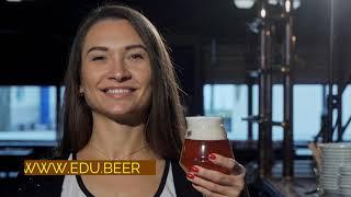 Beer Certification Programs from the Beer Education Institute - Different Levels Explained