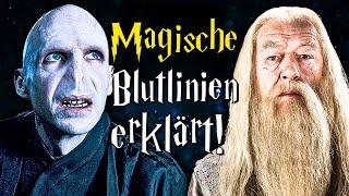 Magische Blutlinien in Harry Potter erklärt - Harry Potter Wissen