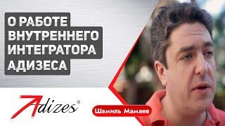 О работе внутреннего интегратора Адизеса - Шамиль Мамаев