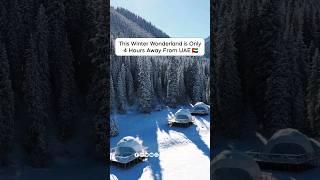 ️ Winter In Kazakhstan | Almaty Tour Packages From Dubai #travel #shorts #almaty #Kazakhstan