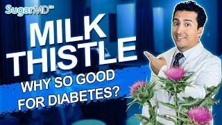 Milk Thistle: Top Benefits for Diabetics You Must Know! SUGARMD