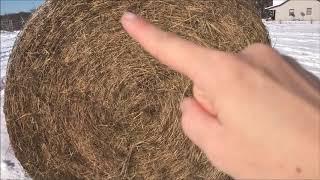 Farm Girl Friday #82 How to unroll a round hay bale by looking at core