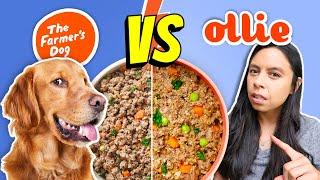 Brutally Honest Dog Food Review  Farmer’s Dog vs Ollie!