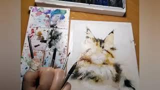 Как написать(нарисовать) кота Мейн Кун. Техника акварель и графика. How to paint cat (wotercolor)