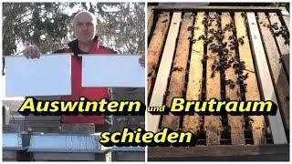 Auswintern und Brutraum schieden