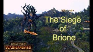 Total war: Warhammer Durthu wood elves (the siege of Brione)