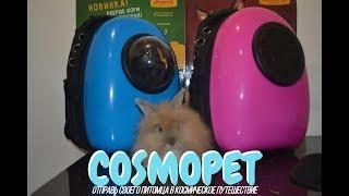 КОСМИЧЕСКИЙ РЮКЗАК! Видеообзор на переноску CosmoPet!