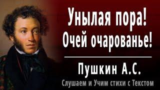 А.С. Пушкин "Унылая пора! Очей очарованье!" (отрывок из - Осень) - Слушать и Учить аудио стихи