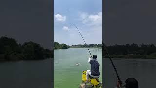 I caught the silver carp fish Best fishing technique Best fishing video #shorts