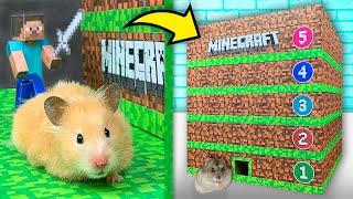 Hamsters in a 5 - Level Minecraft Maze