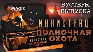 Распаковка дисплея | МТГ Иннистрад: Полночная Охота | Бустеры выпуска | MTG Innistrad: Midnight Hunt