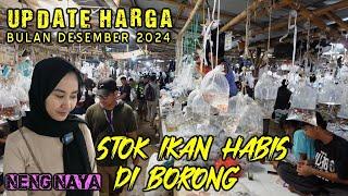 HARGA IKAN HIAS YANG MURAH DI PASAR IKAN HIAS PARUNG BOGOR