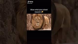 LiloMizz.iolani - #greenscreenvideo #greenscreen