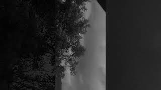 BEAUTY OF NATURE