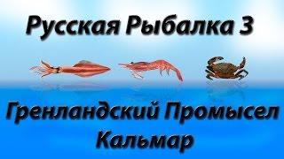 Гренландский Промысел Кальмар