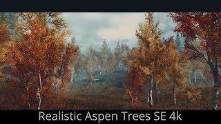 TO KILL THE SIMILARITY - Skyrim SE Mods - Realistic Aspen Trees 4k