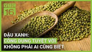 Đậu xanh: Vị thuốc dân dã, công dụng tuyệt vời | VTC16