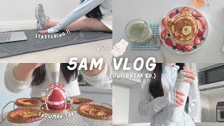 5am productive vlog ౨ৎ sunrise, morning routine, cooking, cozy vibes ᯓ