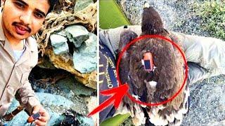 A man found an EAGLE with a GPS tracker. He connected it to a computer and couldn’t believe his eyes