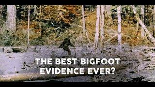 The Best Bigfoot Evidence Ever?