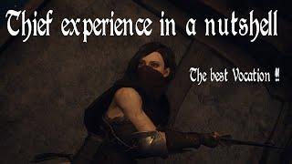 Thief experience in a Nutshell - Dragon's dogma 2