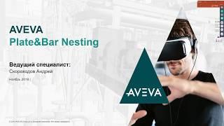 Особенности и новые возможности модуля по раскрою AVEVA Plate&Bar Nesting