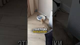 Никогда не оставляйте эти игрушки рядом с кошкой 