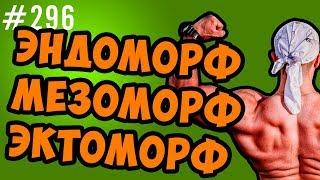 Типы телосложения. эктоморф, мезоморф , эндоморф